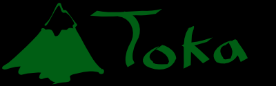 toka logo